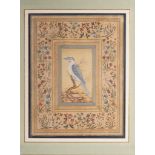 A MUGHAL STYLE PAINTING OF A BIRD, 19TH/20TH CENTURY INDIA