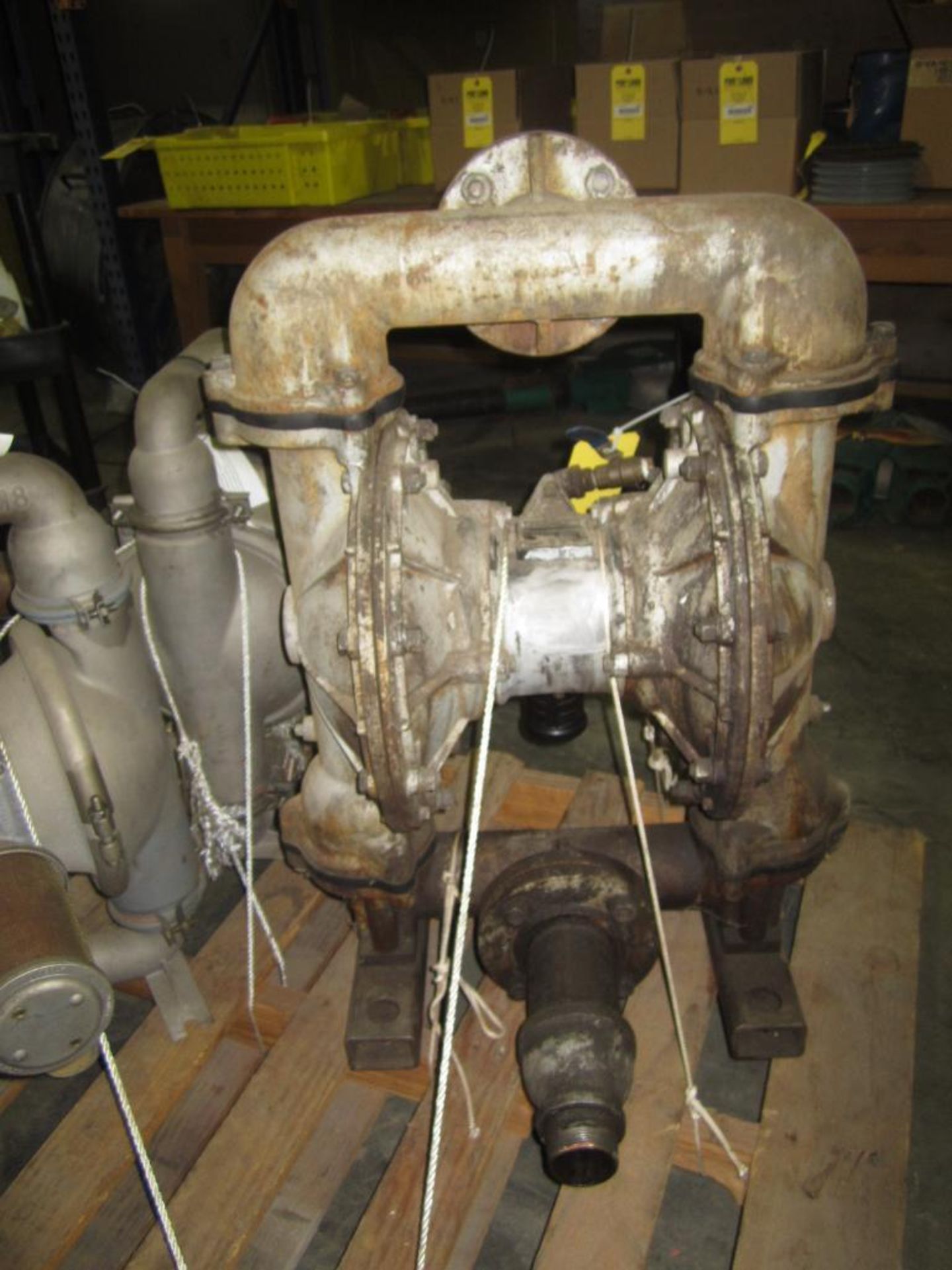 Diaphragm Pump