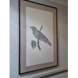 Wall Decorative Art curated by Elegant Clutter Framed wall art bird 70 x 110cm lot as photographed (