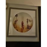Wall Decorative Art curated by Elegant Clutter 2 x framed wall art botanical 70 x 70cm lot as