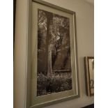 Wall Decorative Art curated by Elegant Clutter 3 x framed wall art woodland themed 40 x 70cm lot