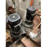 2 X Grundfos Water Pumps ( Plant )