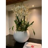 Campania style white composite planter with artificial plant 40cm diameter ( Reception / Tudor )