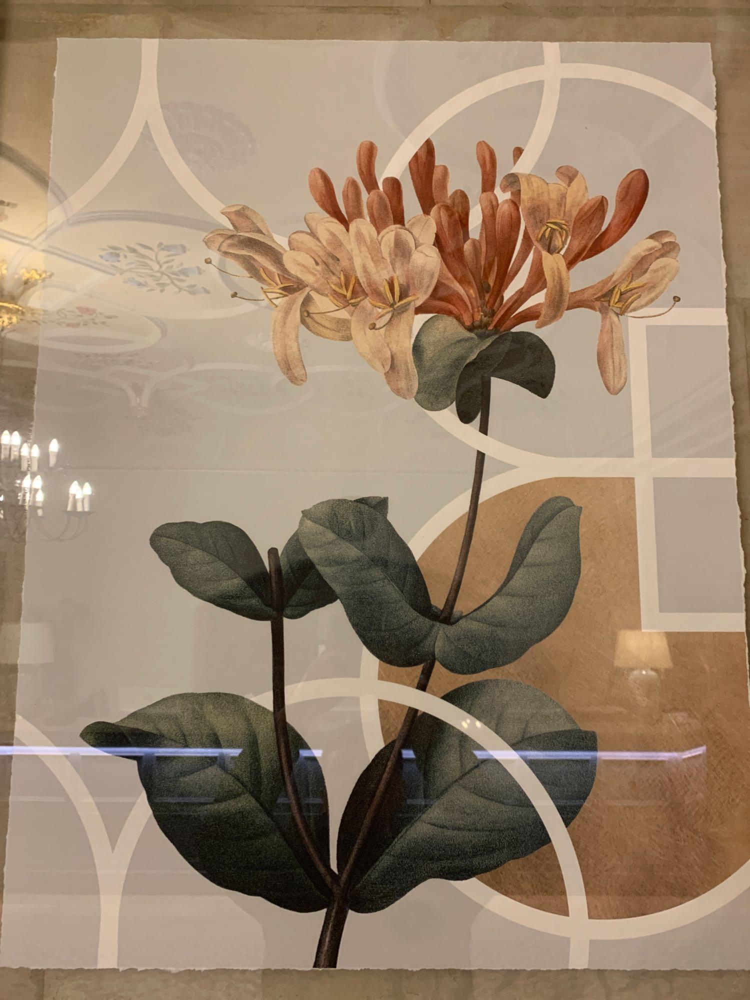 Elegant Clutter framed boatanical print 90 x 1110cm ( Reception / Tudor ) - Image 2 of 3