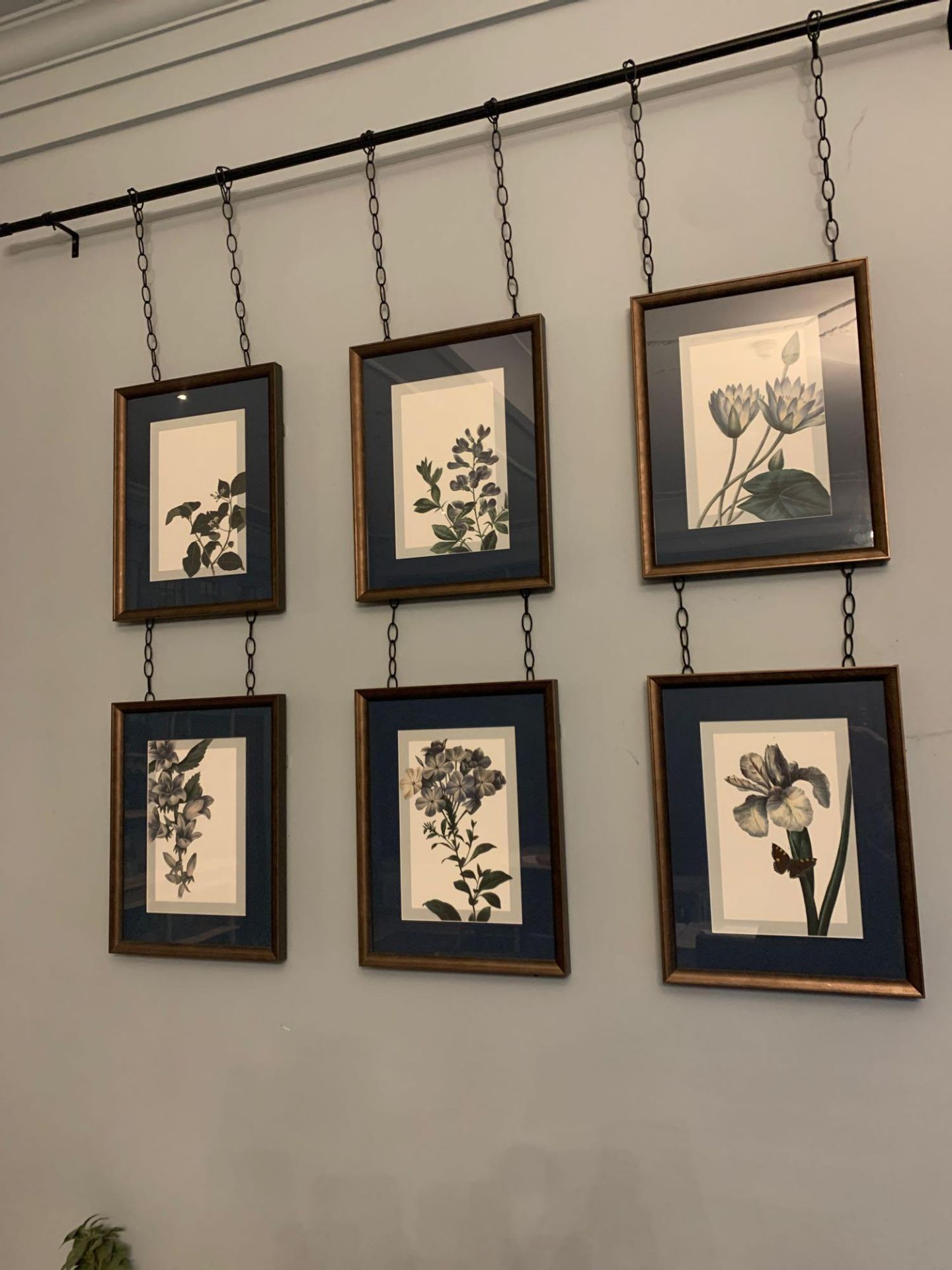 Elegant Clutter a set of six framed botanical prints on suspended metal rod print size 36 x 46cm - Bild 2 aus 3