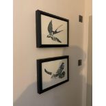 Elegant Clutter framed wall art depicting a dove and a swallow ( Room 204) ( West Wing )