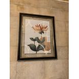 Elegant Clutter framed boatanical print 90 x 1110cm ( Reception / Tudor )
