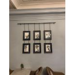 Elegant Clutter a set of six framed botanical prints on suspended metal rod print size 36 x 46cm