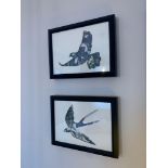 Elegant Clutter framed wall art depicting a dove and a swallow ( Room 203) ( West Wing )