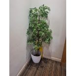 Artifiical 5ft evergreen plant