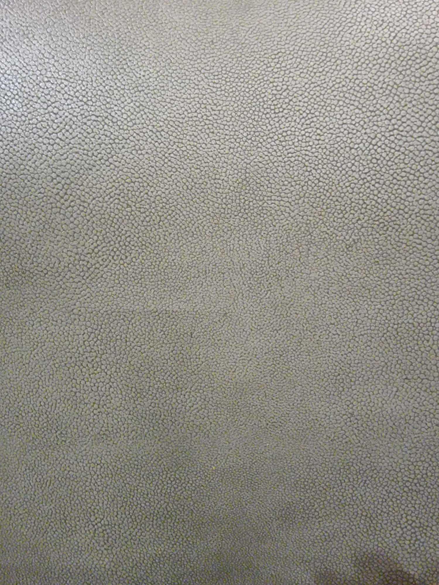 Sage Leather Hide approximately 4.86mÂ² 2.7 x 1.8cm - Image 2 of 2