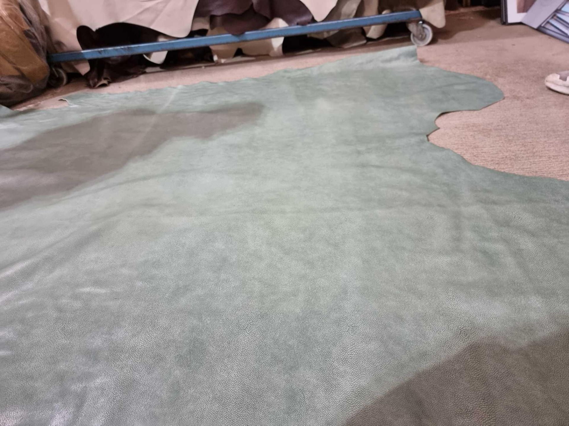 Sage Leather Hide approximately 3.6mÂ² 2 x 1.8cm - Image 3 of 3