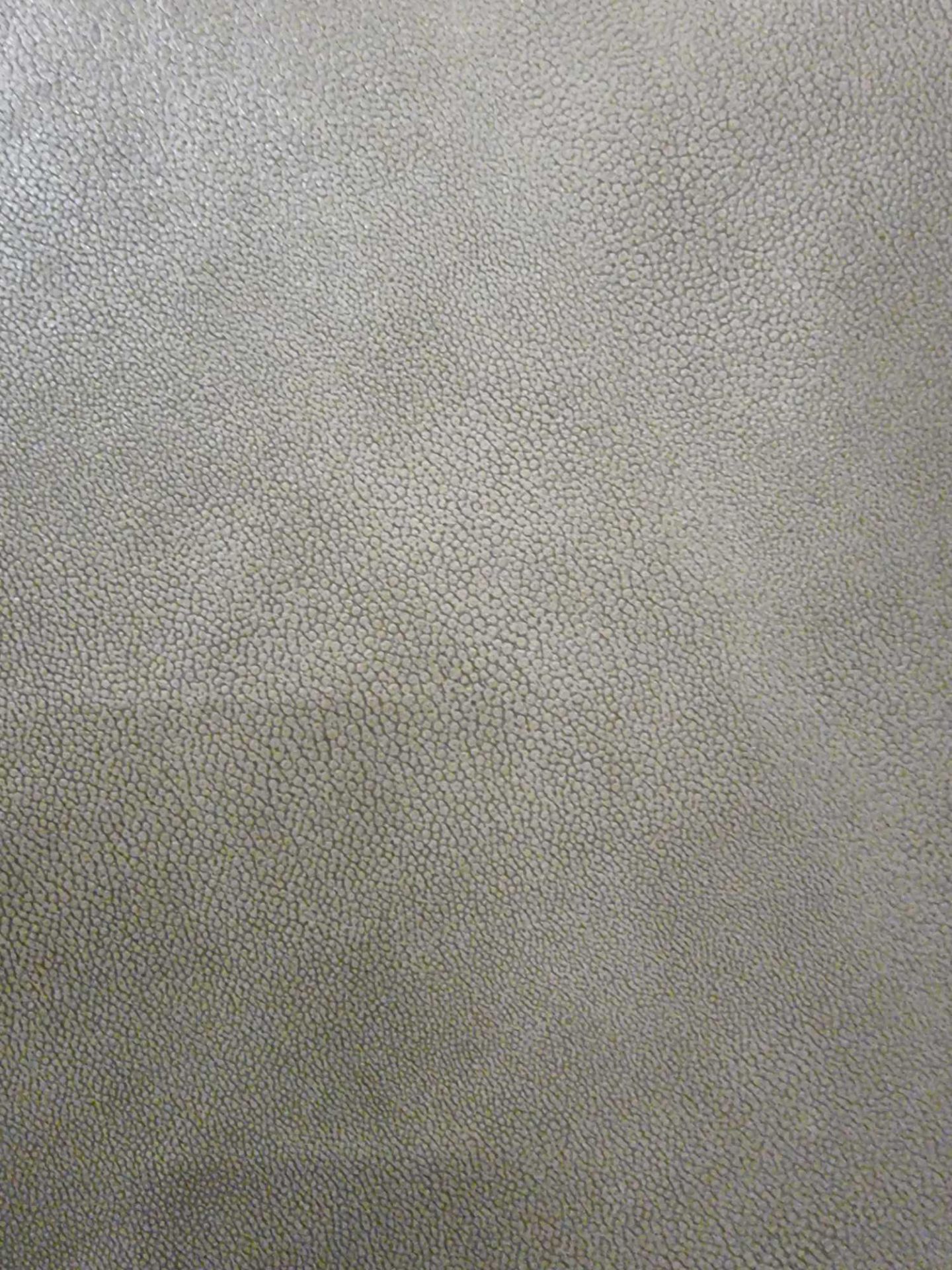 Sage Leather Hide approximately 3.42mÂ² 1.9 x 1.8cm - Image 2 of 2