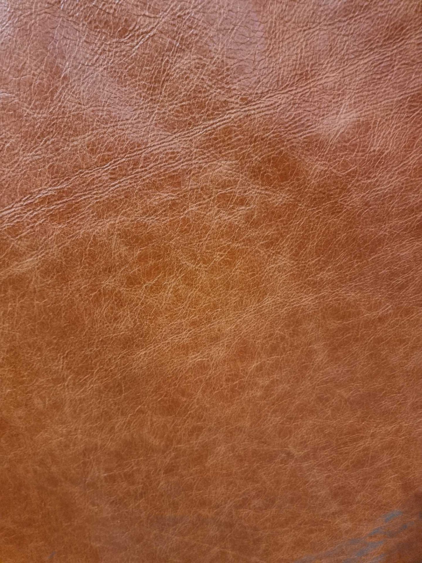 Futura Rimini Arabesque Leather Hide approximately 2.88mÂ² 1.8 x 1.6cm ( Hide No,145) - Image 2 of 2