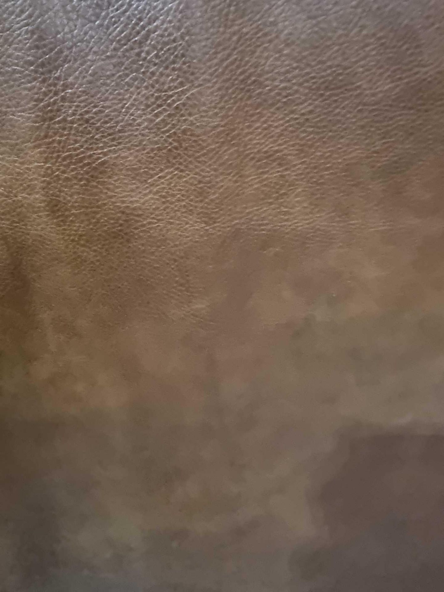 Cigar Brown Leather Hide approximately 4.37mÂ² 2.3 x 1.9cm ( Hide No,147) - Bild 2 aus 2