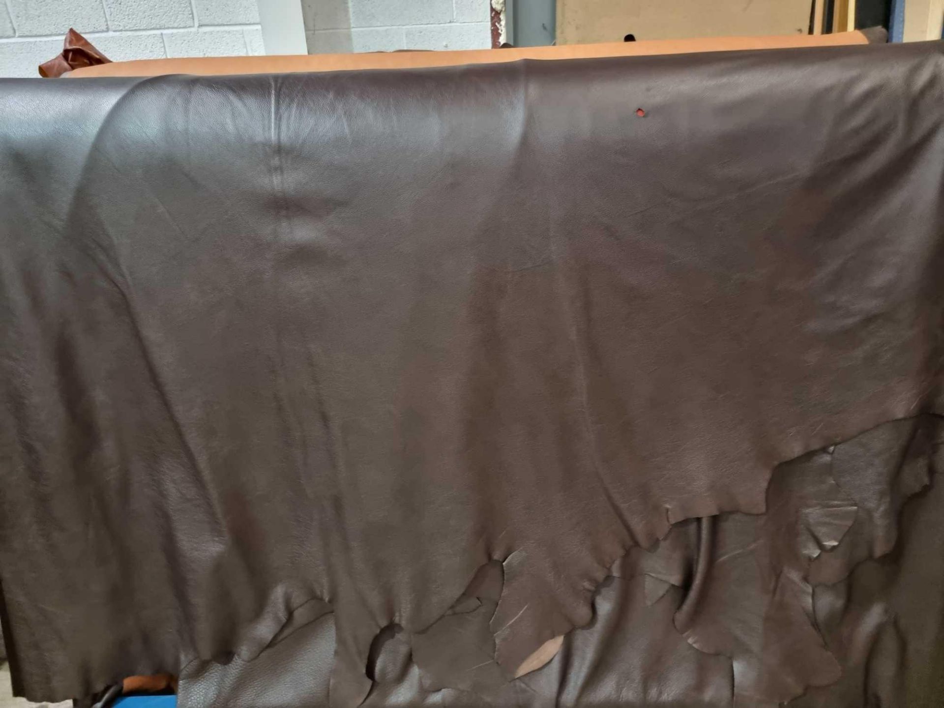 Chocolate Leather Hide approximately 5.04mÂ² 2.4 x 2.1cm ( Hide No,134)