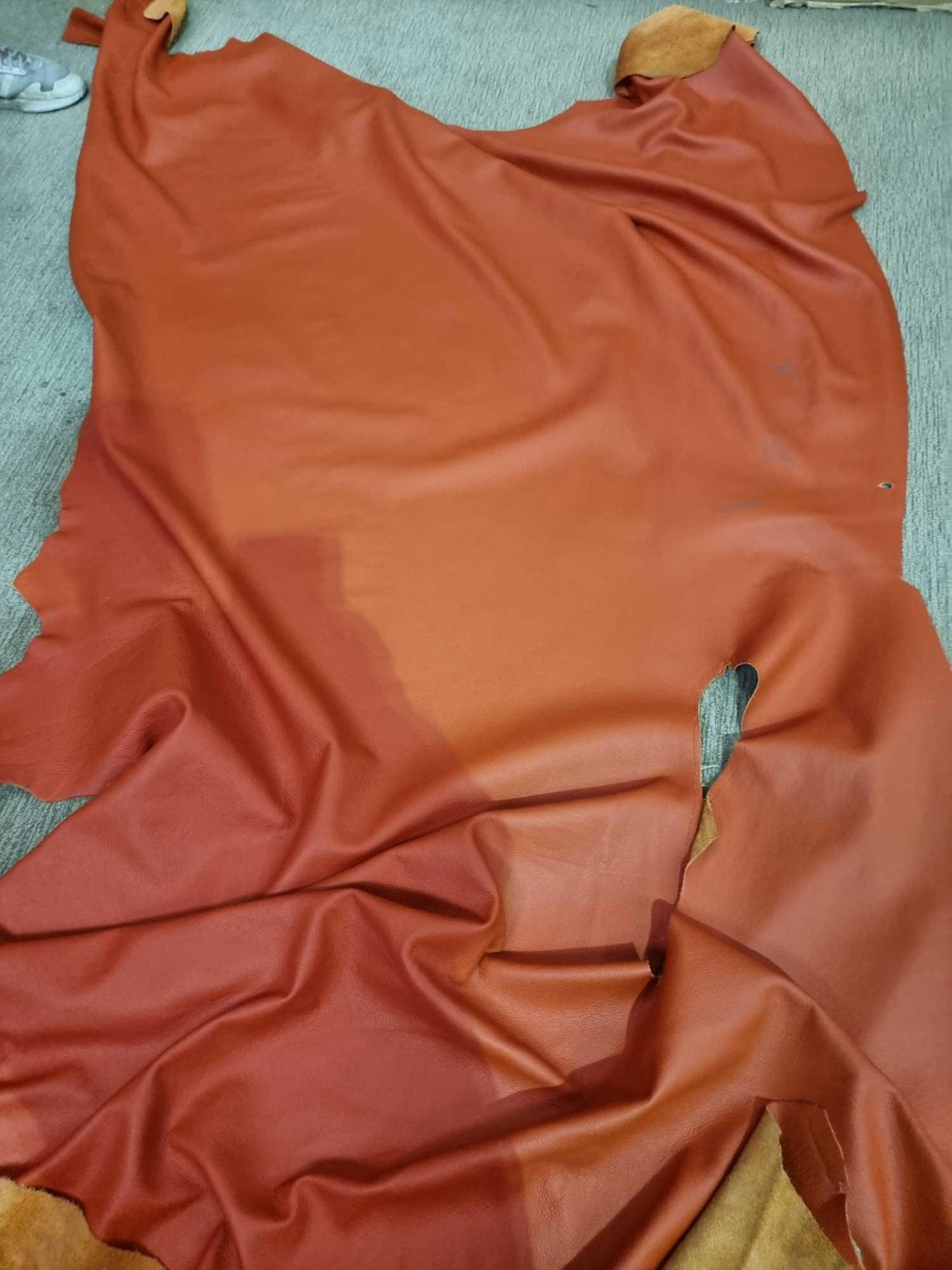 Prescott Red Orange Leather Hide approximately 2.31mÂ² 2.1 x 1.1cm ( Hide No,154) - Image 3 of 3