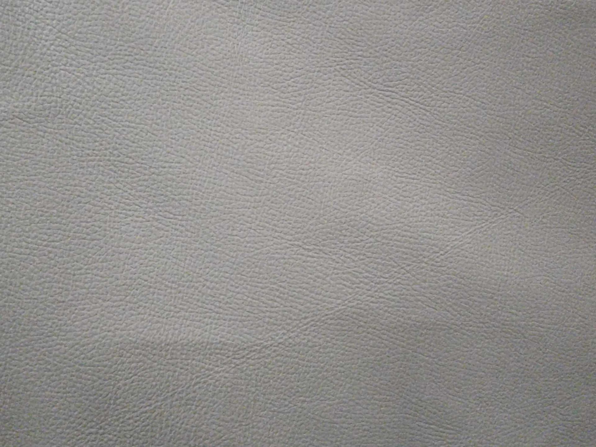 Yarwood Style Silver Leather Hide approximately 4.6mÂ² 2.3 x 2cm ( Hide No,226) - Image 2 of 3