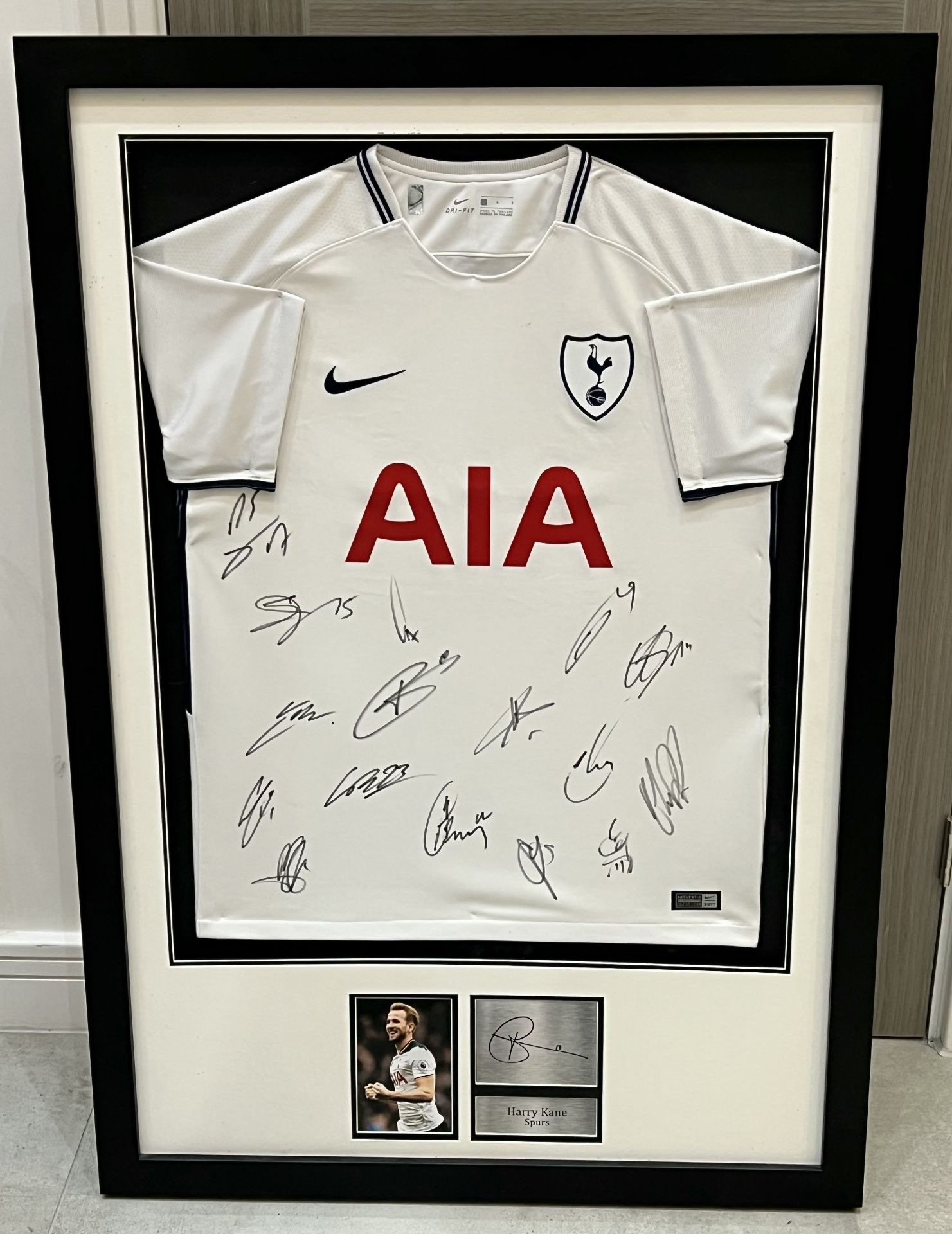 Authentic Tottenham Hotspur hand signed shirt display from the season 2017-18. The 17 signatories