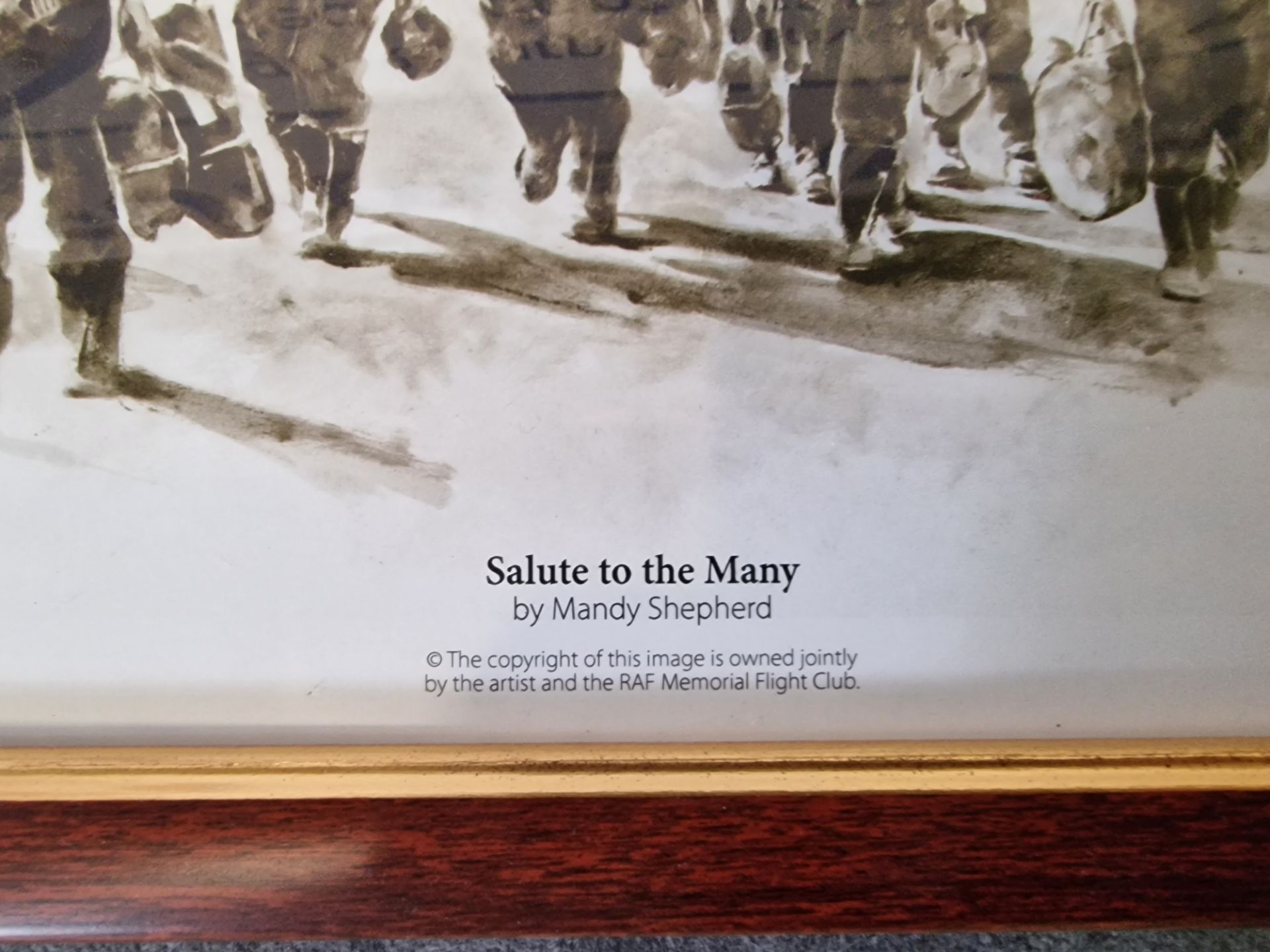 Salute To The Many By Mandy Shepherd Royal Air Force Memorial Flight Print In A Light Wooden & - Bild 7 aus 7