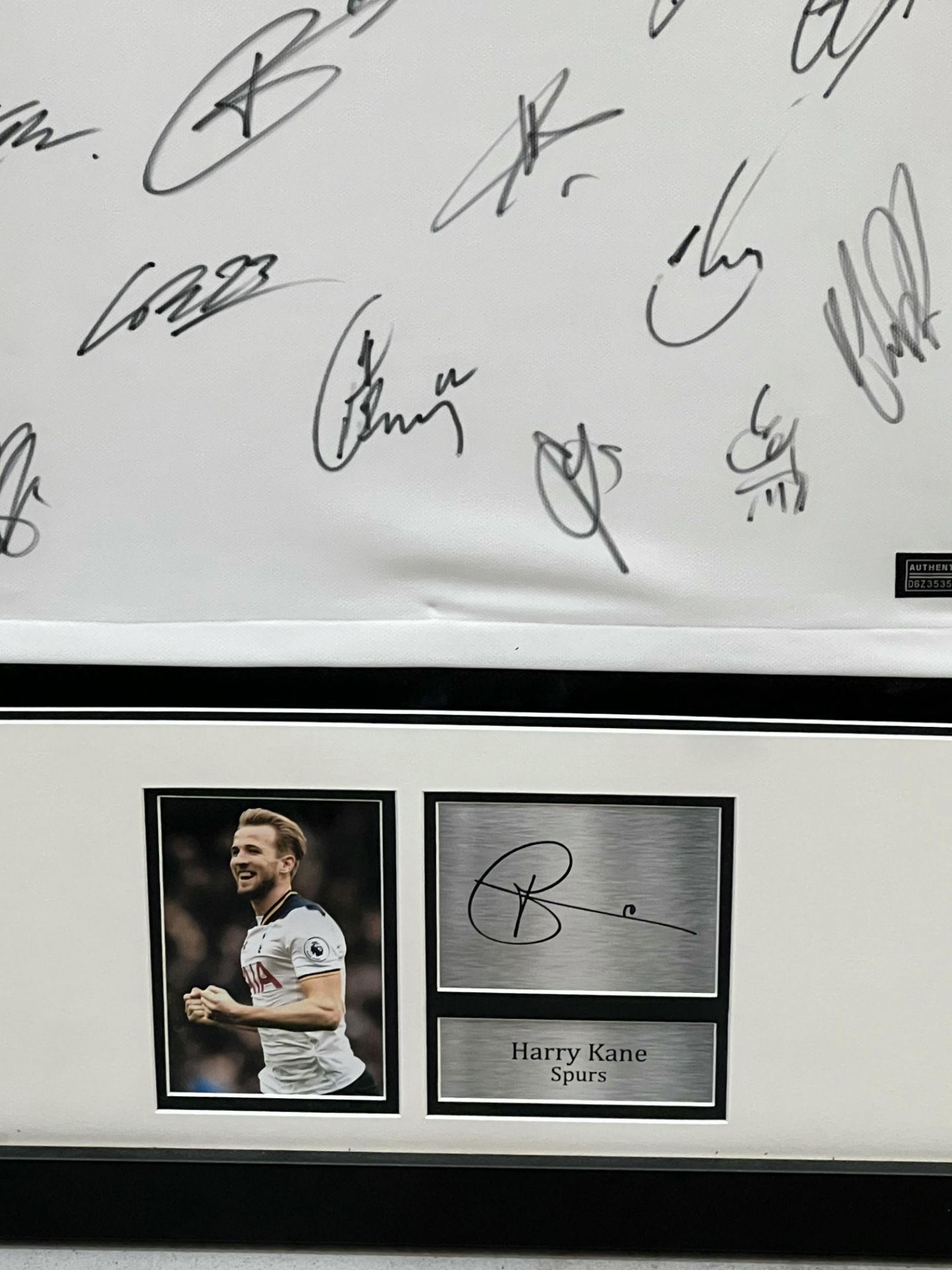 Authentic Tottenham Hotspur hand signed shirt display from the season 2017-18. The 17 signatories - Image 5 of 12