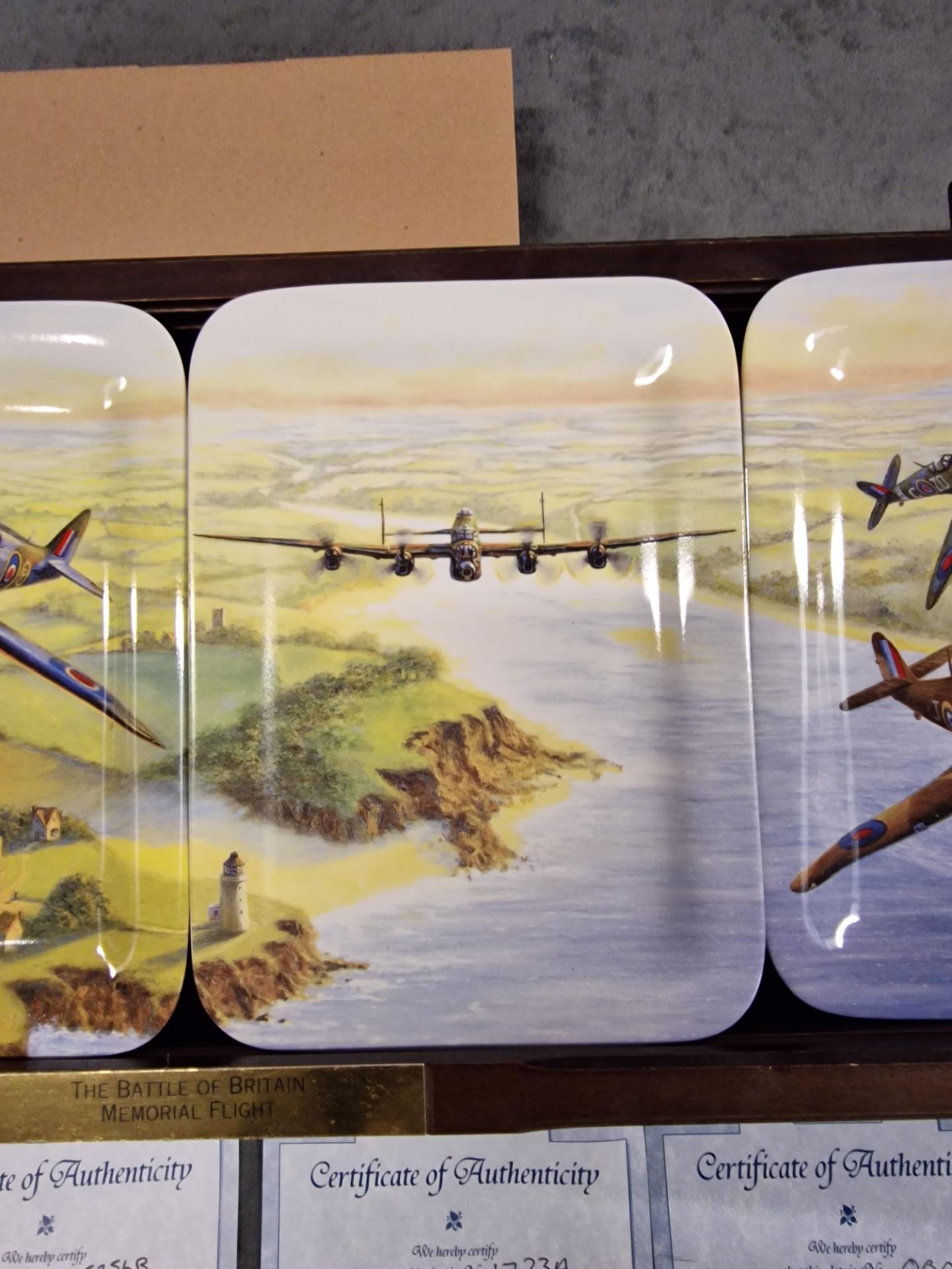 4 X Fine Porcelain The Battle Of Britain Memorial Flight Davenport Commemorative Wall Plates 9” - Bild 5 aus 11