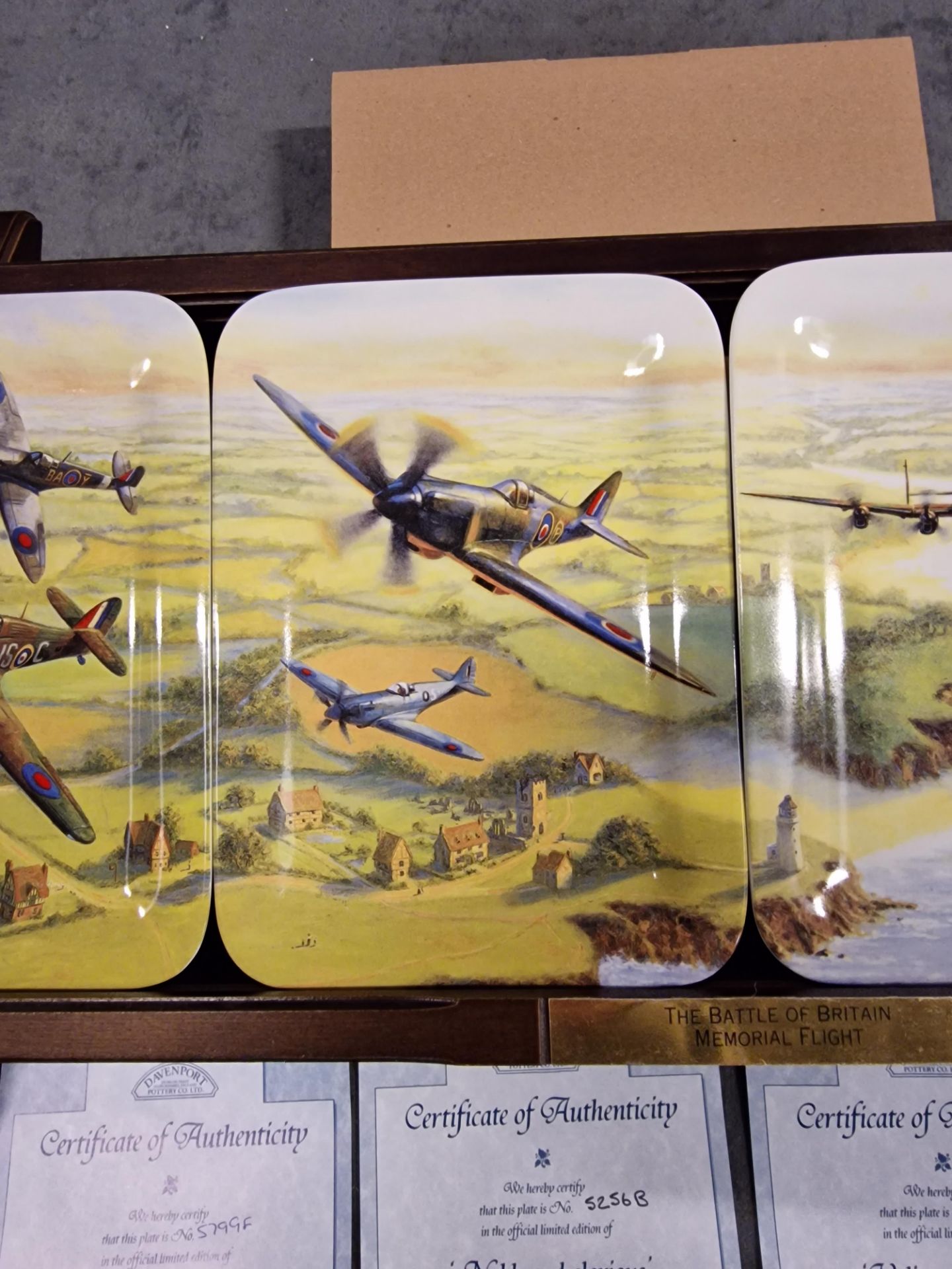 4 X Fine Porcelain The Battle Of Britain Memorial Flight Davenport Commemorative Wall Plates 9” - Bild 4 aus 11