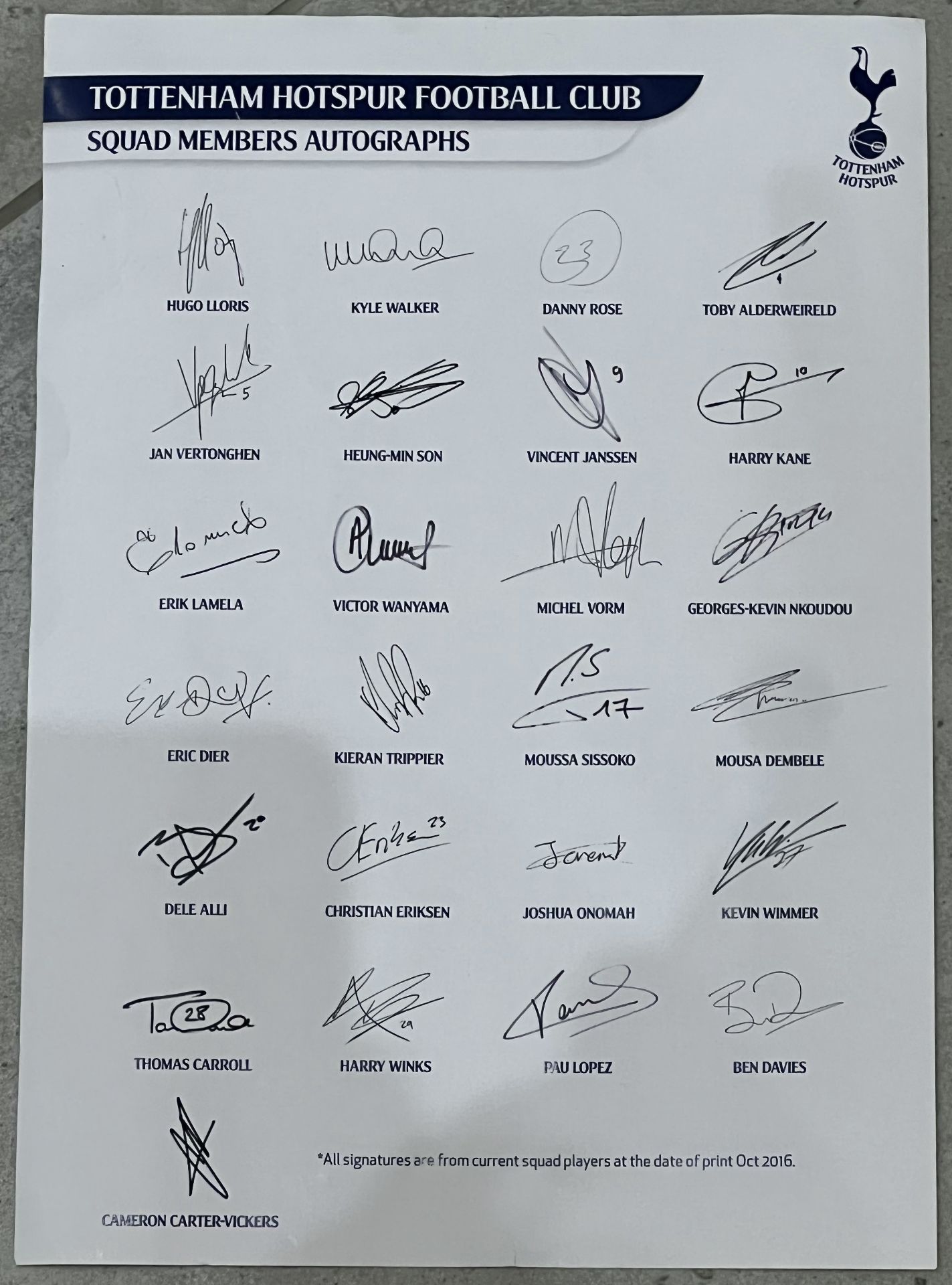Authentic Tottenham Hotspur hand signed shirt display from the season 2017-18. The 17 signatories - Image 8 of 12