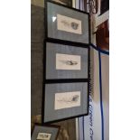 3 x Framed Wall Art Elegant Clutter Framed Wall Art Pluma This Item Is Either Ex Showroom/Display Or