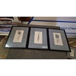 3 x Framed Wall Art Elegant Clutter Framed Wall Art Pluma This Item Is Either Ex Showroom/Display Or