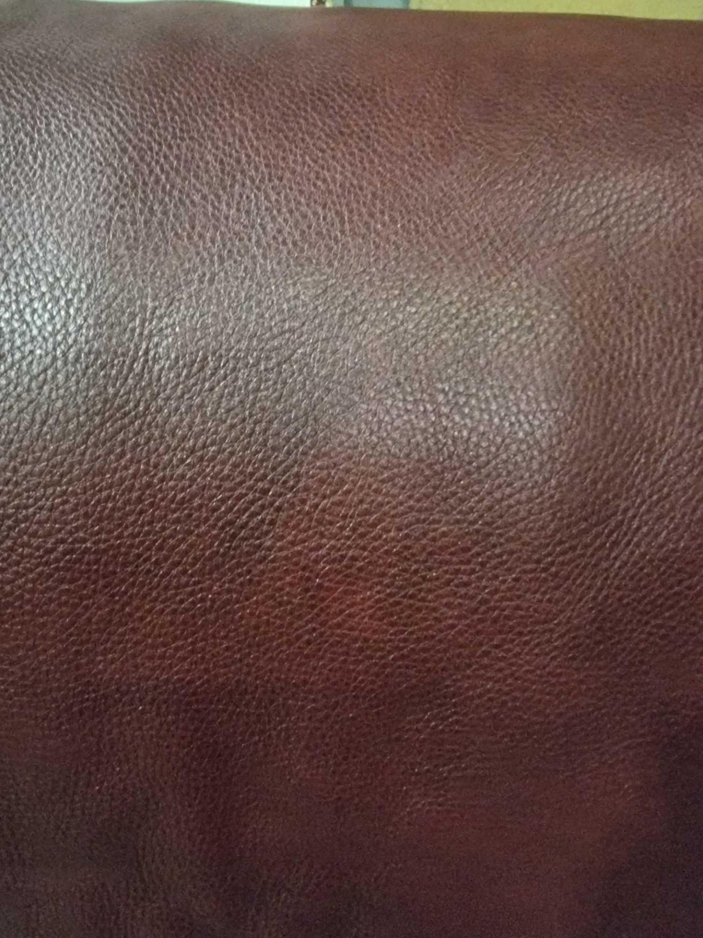 Palazzo Grenadine Leather Hide approximately 4 83M2 2 3 x 2 1cm ( Hide No,114)