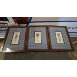 3 x Framed Wall Art Elegant Clutter Framed Wall Art Pluma This Item Is Either Ex Showroom/Display Or