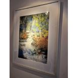 Alpine Stream By Maureen Davis Mixed Media Signed Framed Art In White Wood Profile Frame 60 x 76cm