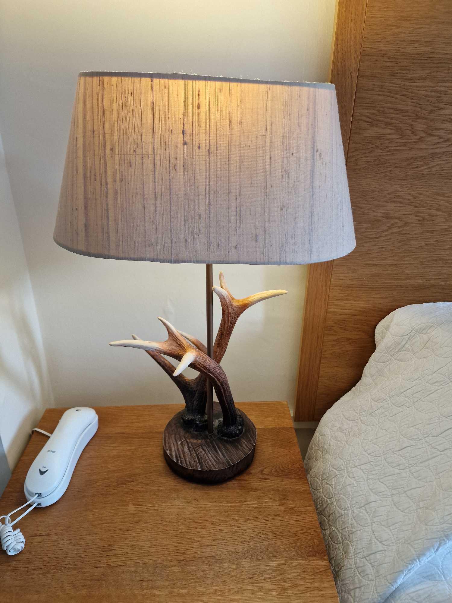 David Hunt Antler Ant4129 Table Lamp A Delicate, Hand Painted Antler Table Lamp, Featuring