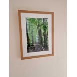 A Framed Landscape Photoprints By Colin Sturges Okewood Imagery In Modern Wood Frame 38 x 51cm