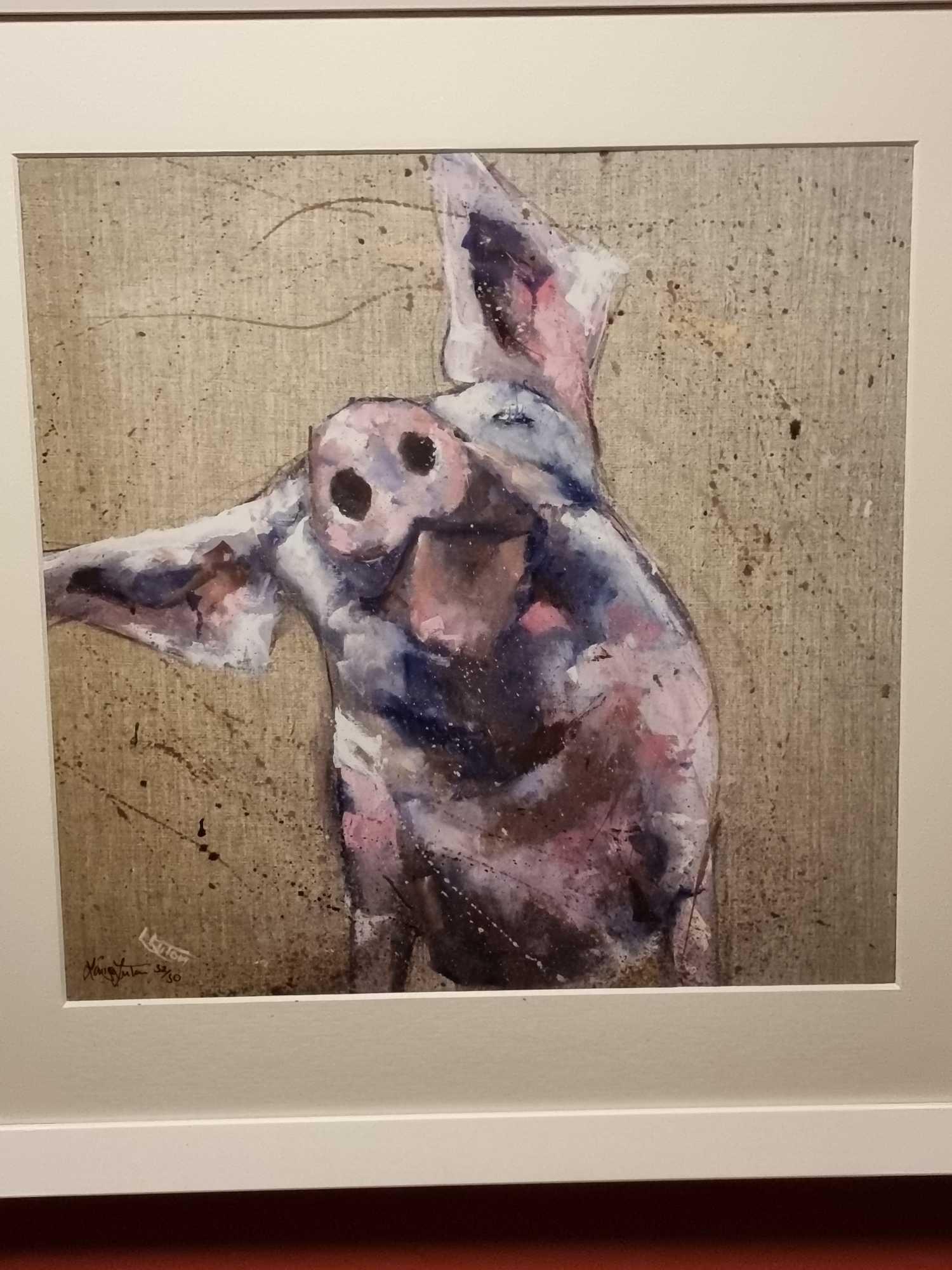 Hampshire Hog By Louise Luton Limited Edition 32/50 In A Glazed White Wood Modern Frame Born In - Image 2 of 3