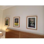 A Set Of 3 Framed Landscape Photoprints By Colin Sturges Okewood Imagery In Modern Wood Frame 38 x