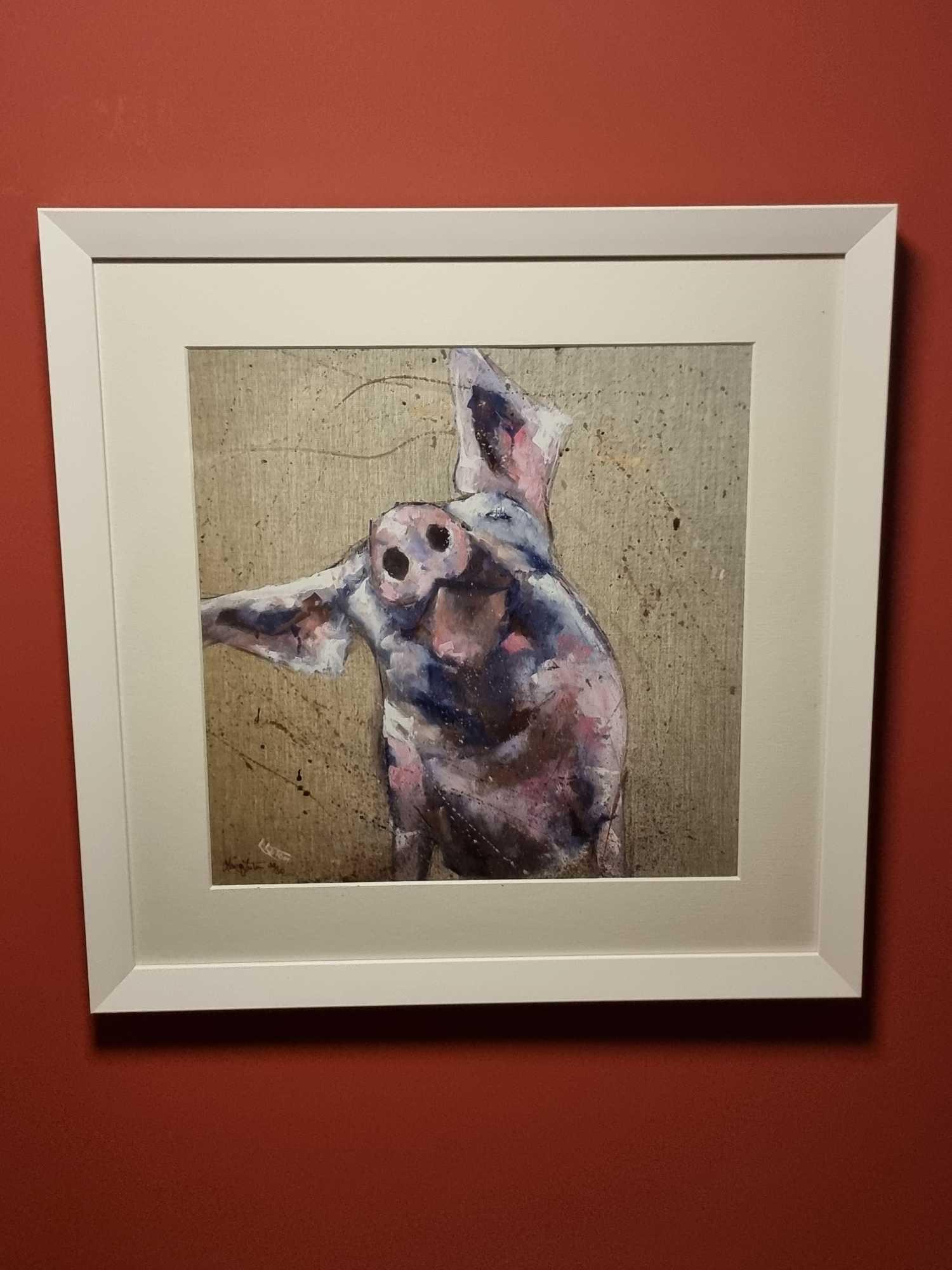 Hampshire Hog By Louise Luton Limited Edition 32/50 In A Glazed White Wood Modern Frame Born In