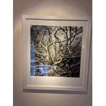 Gillian Allard Framed Print Wild Tree Ã¢â‚¬â€œ Dunregan Isle Of Sky Limited Edition 4/25 Signed