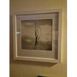 Gillian Allard Framed Print Still Life Solway Firth Signed Verso In A Modern White Wood Glazed Frame