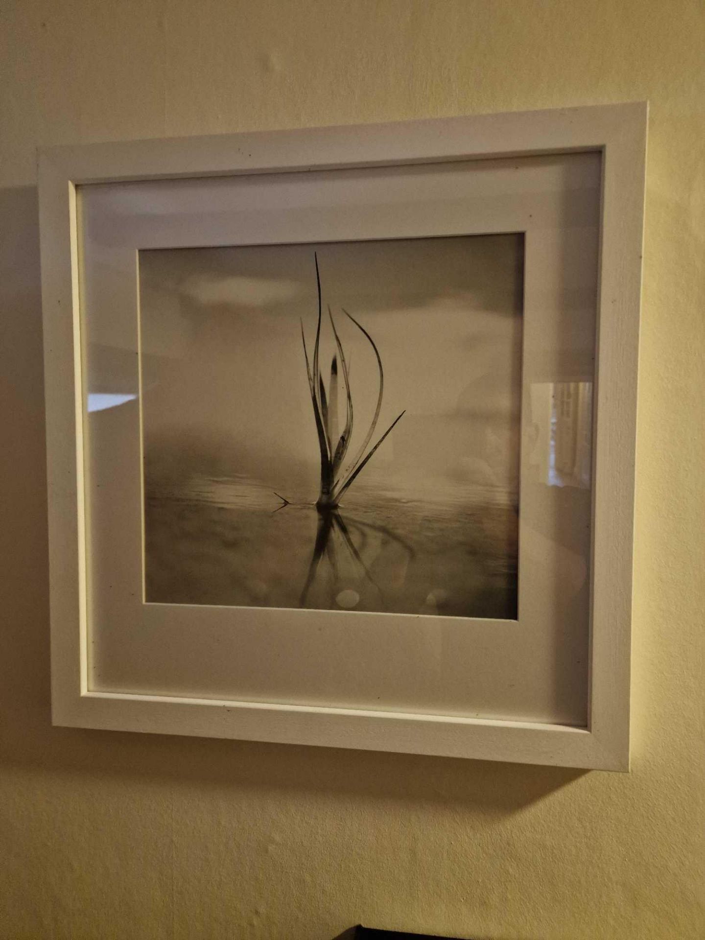 Gillian Allard Framed Print Still Life Solway Firth Signed Verso In A Modern White Wood Glazed Frame