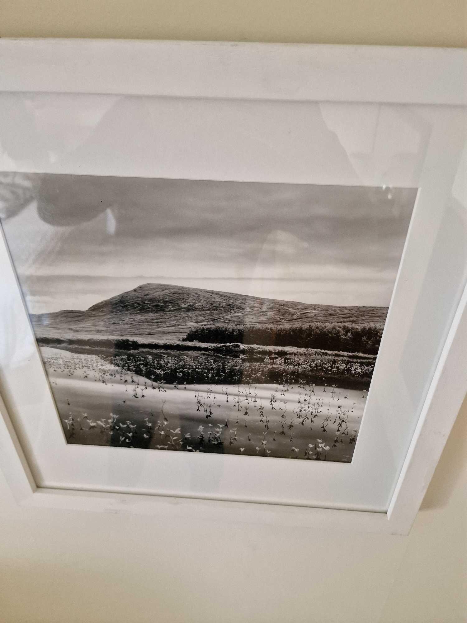 Gillian Allard Framed Print Distant Hill And Reflection Signed Verso In A White Wood Frame 48 x 49cm - Image 2 of 2