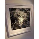 Gillian Allard Framed Print Water Forest Ã¢â‚¬â€œ Duntulm Isle Of Sky Limited Edition 4/25 Signed