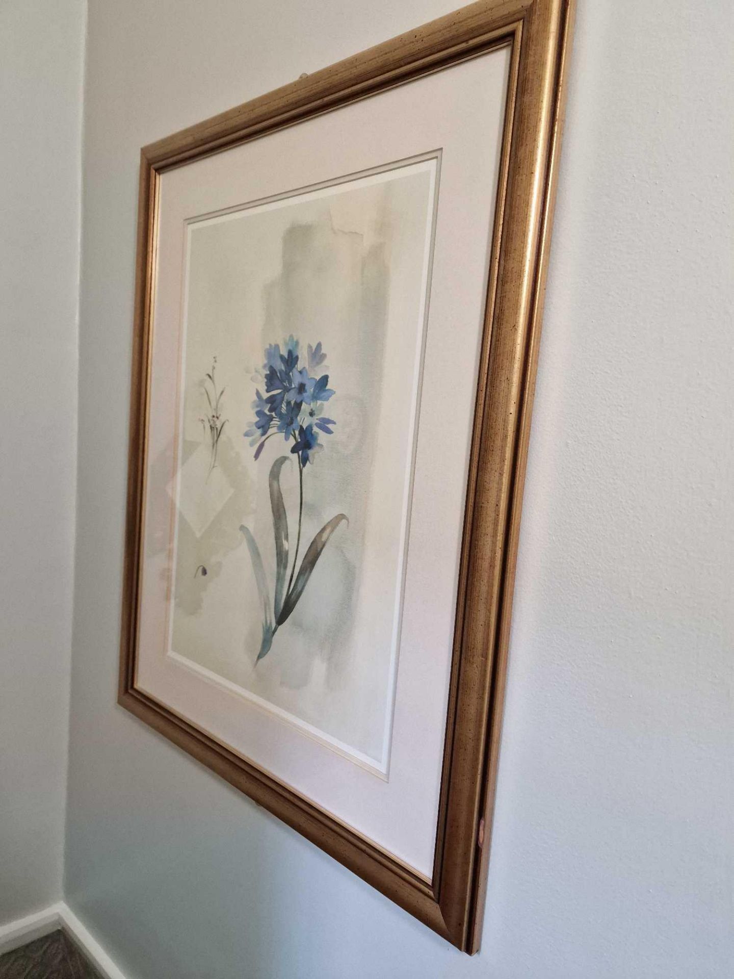 A Framed Botanical Print Gold Wood Frame 58 X 74cm