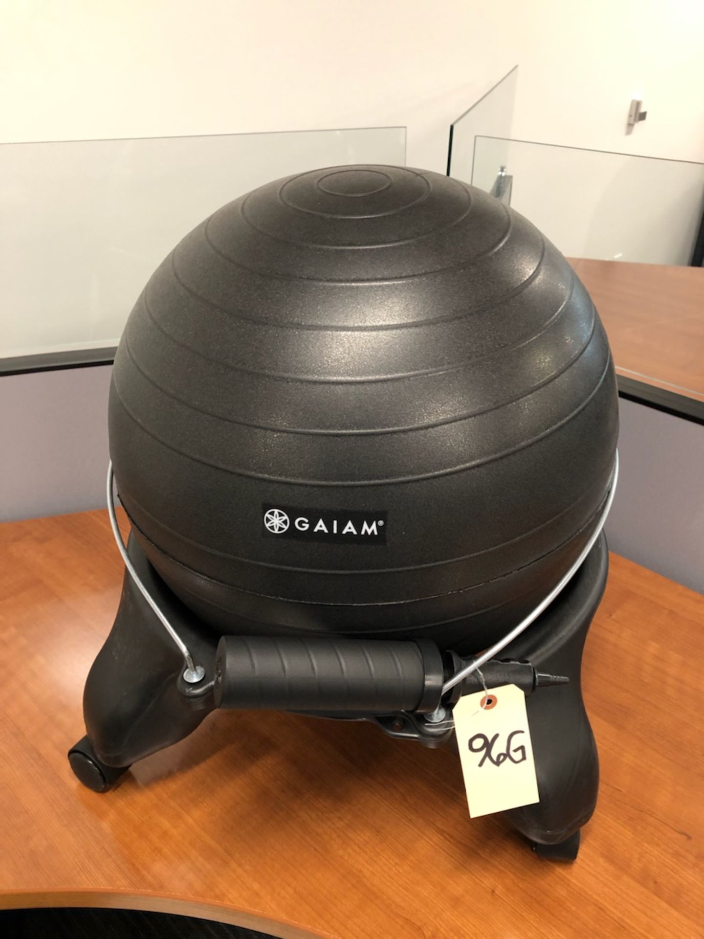 GAIAN EXERCISE BALL