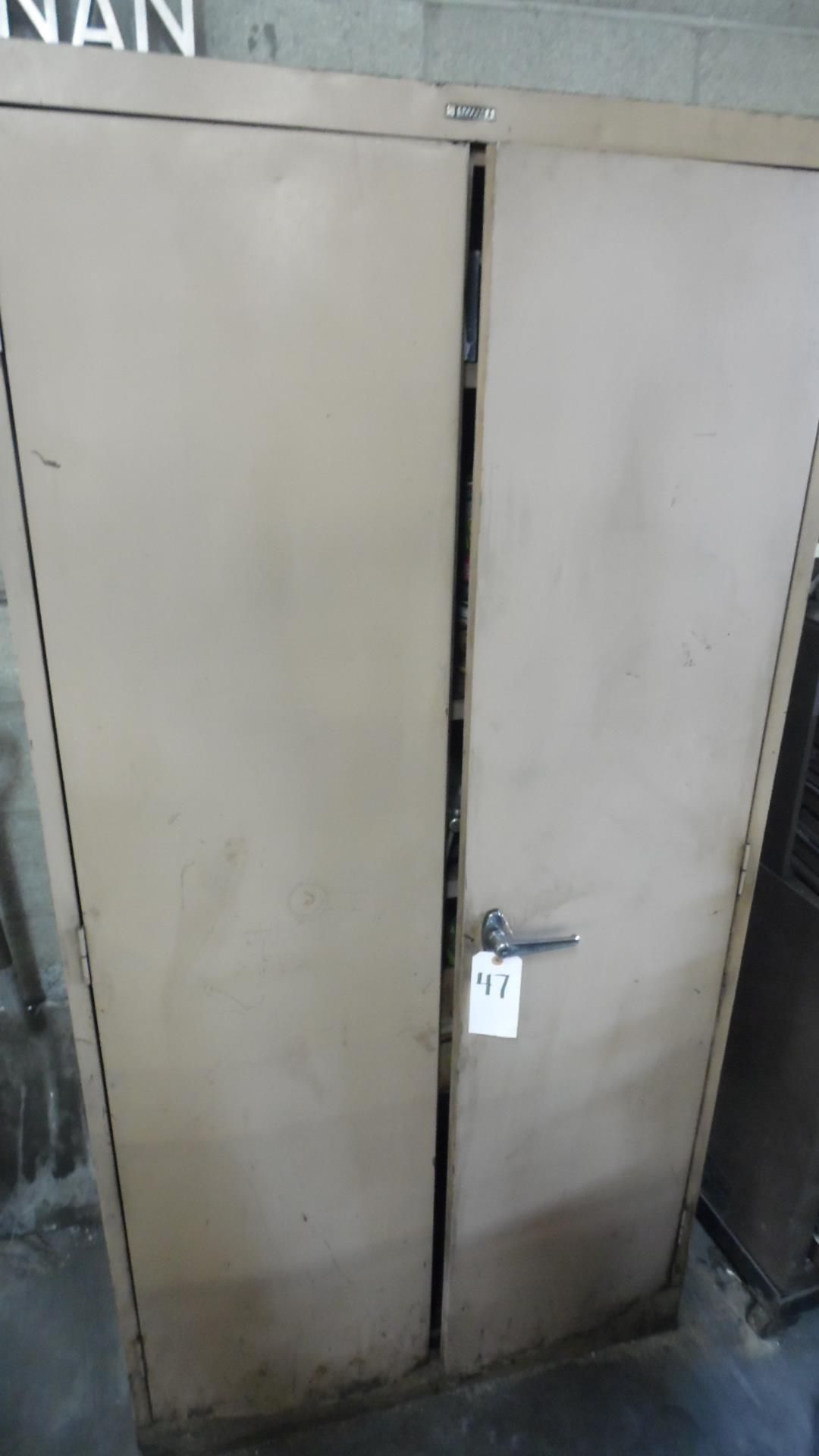 2-DOOR METAL CABINET (ONLY)