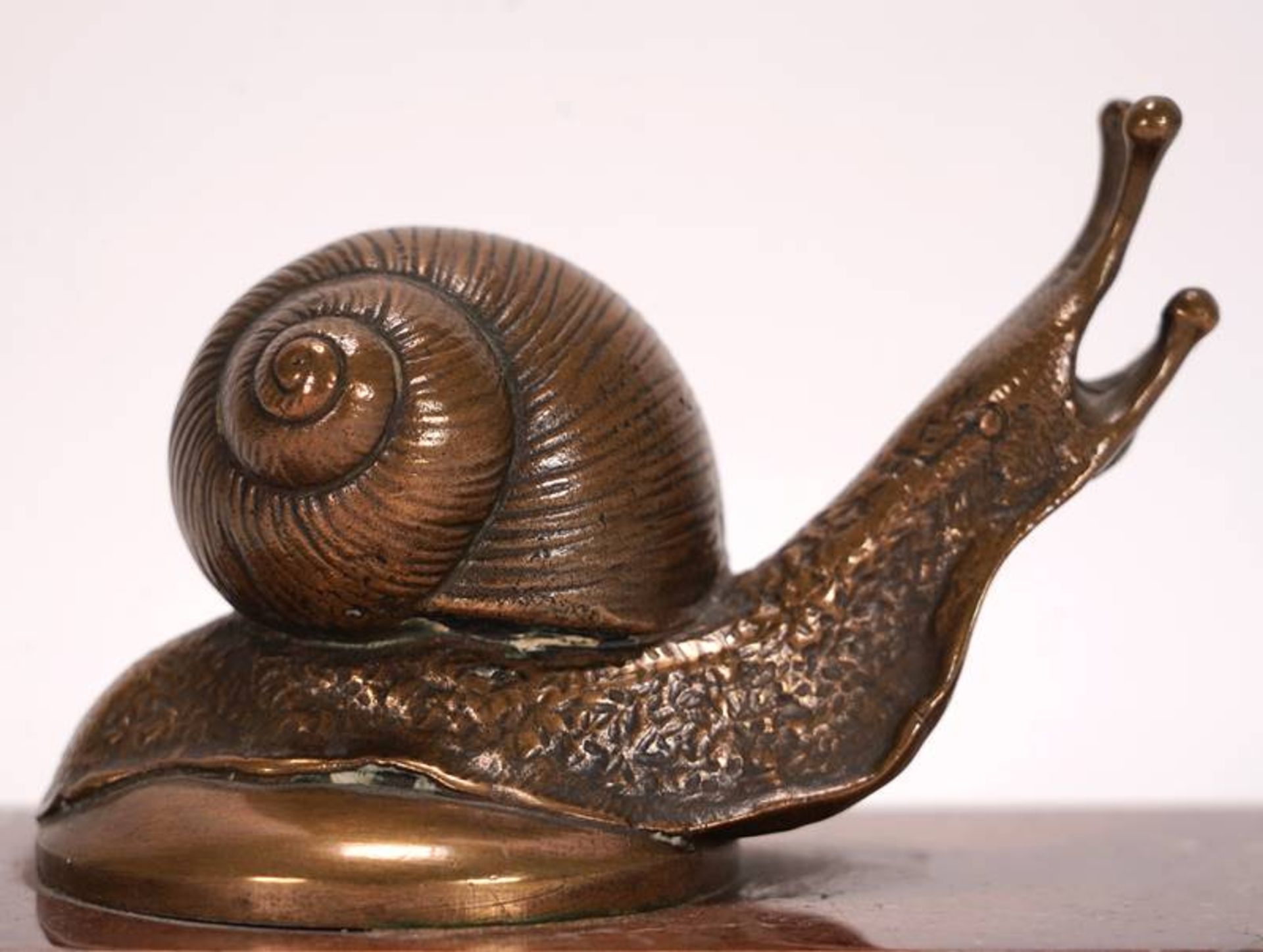 Vineyard snail - Image 3 of 4