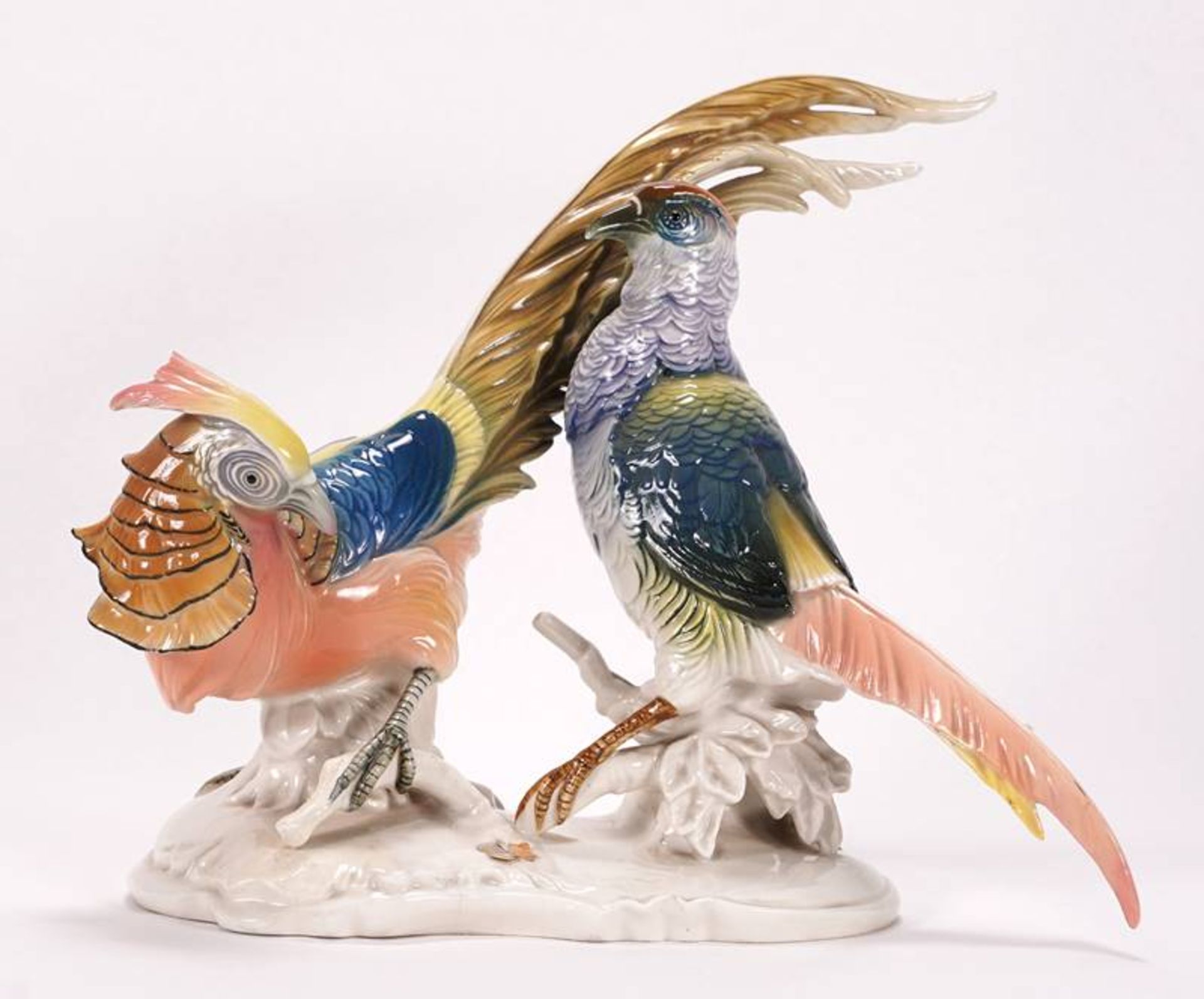 Pair of pheasants