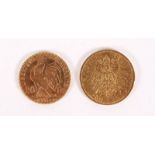 Two gold coins