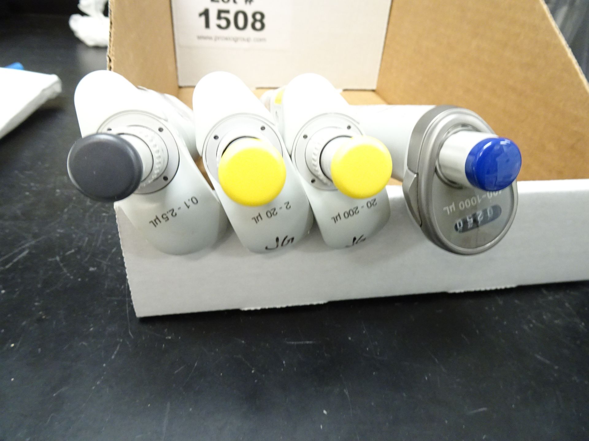 (4) Eppendorf Pipettes - Image 2 of 3